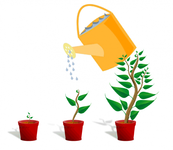 Nationaal onderzoek_221